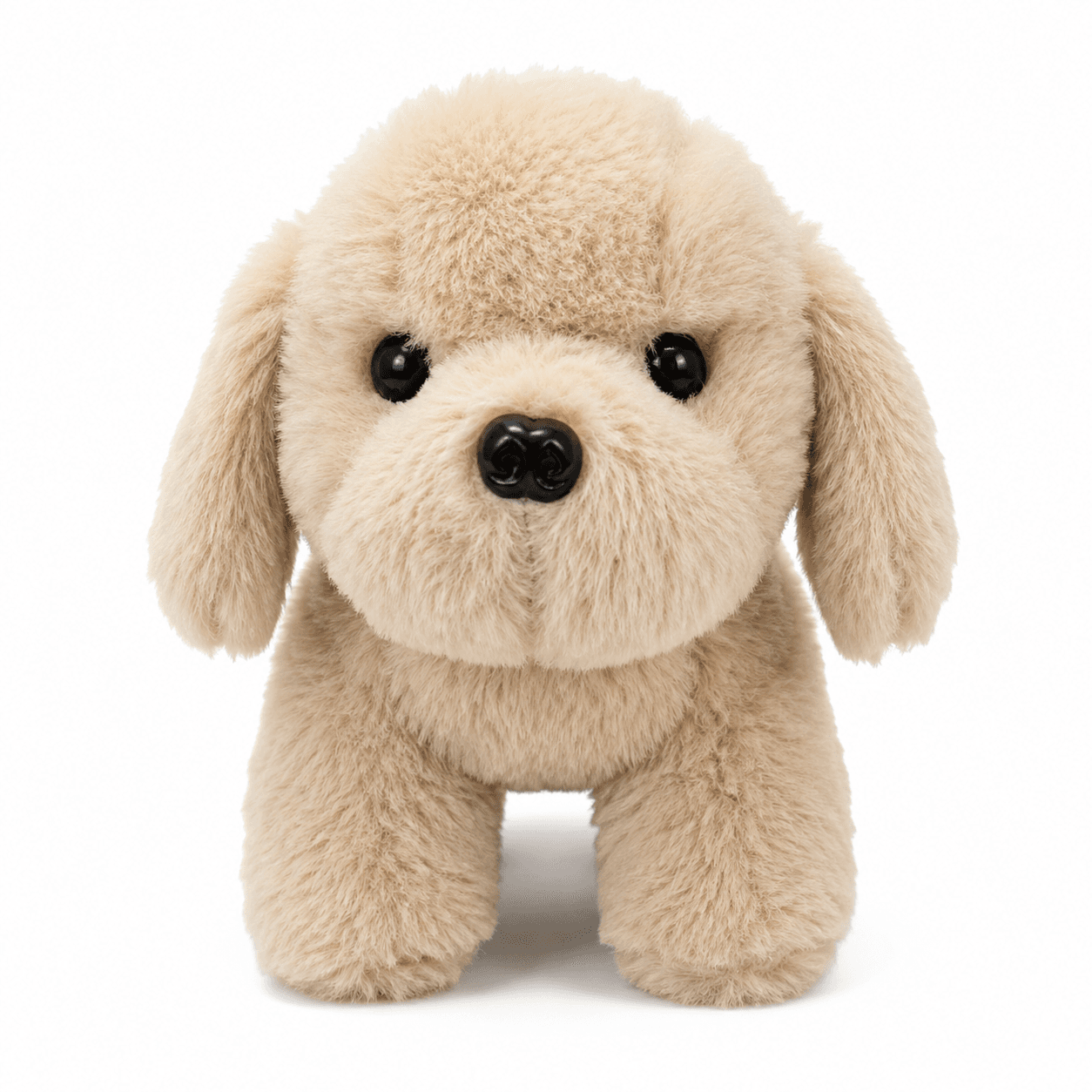 Puppy Dog